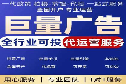 百度竞价与搜索引擎优化（SEO）的协同效应案例